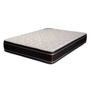 Exclusive 140 con Euro Pillow